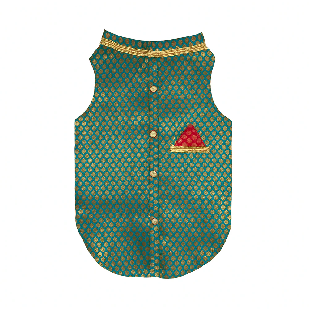 Pawsindia Traditional Royal Brocade Kurta for Dogs (Aqua Green) - Image 3