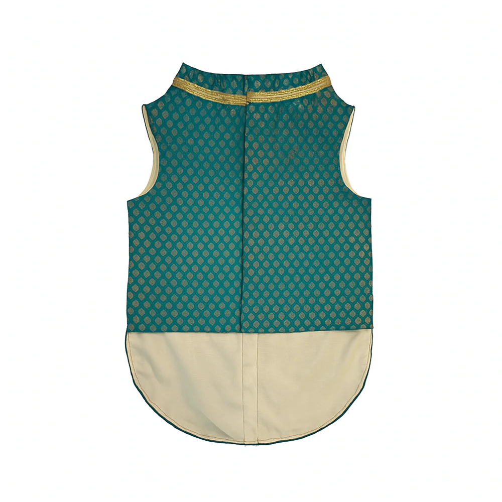 Pawsindia Traditional Royal Brocade Kurta for Dogs (Aqua Green) - Image 4