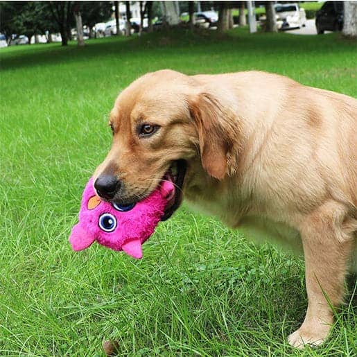 Pawsindia Trembling Monster Toy for Dogs (Brown) - Image 5