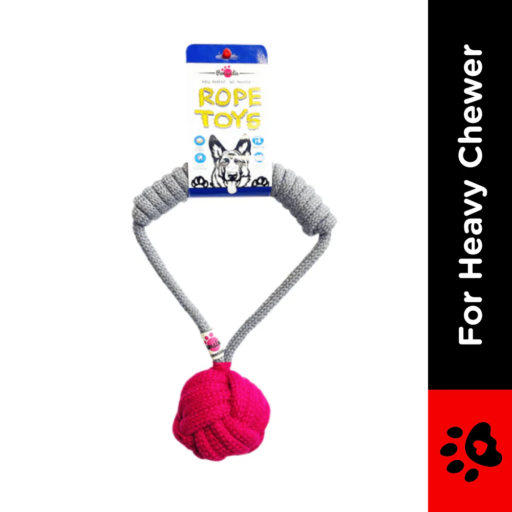 Pawsindia Tug of War Rope Toy for Dogs (Grey) - Image 2