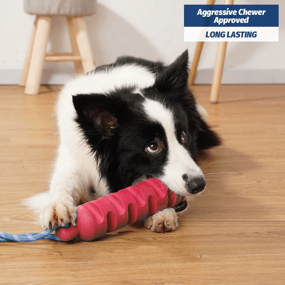 Pawsindia Ultimate Chew Stick Toy for Dogs (Pink) - Image 5
