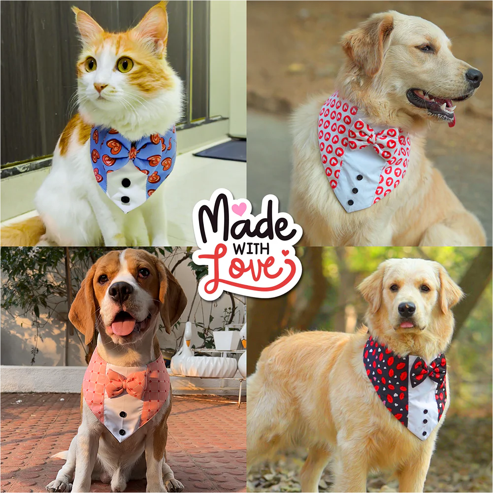 PawsIndia Valentines Edition Checks with Hearts Printed Tuxedo for Dogs and Cats - Image 3