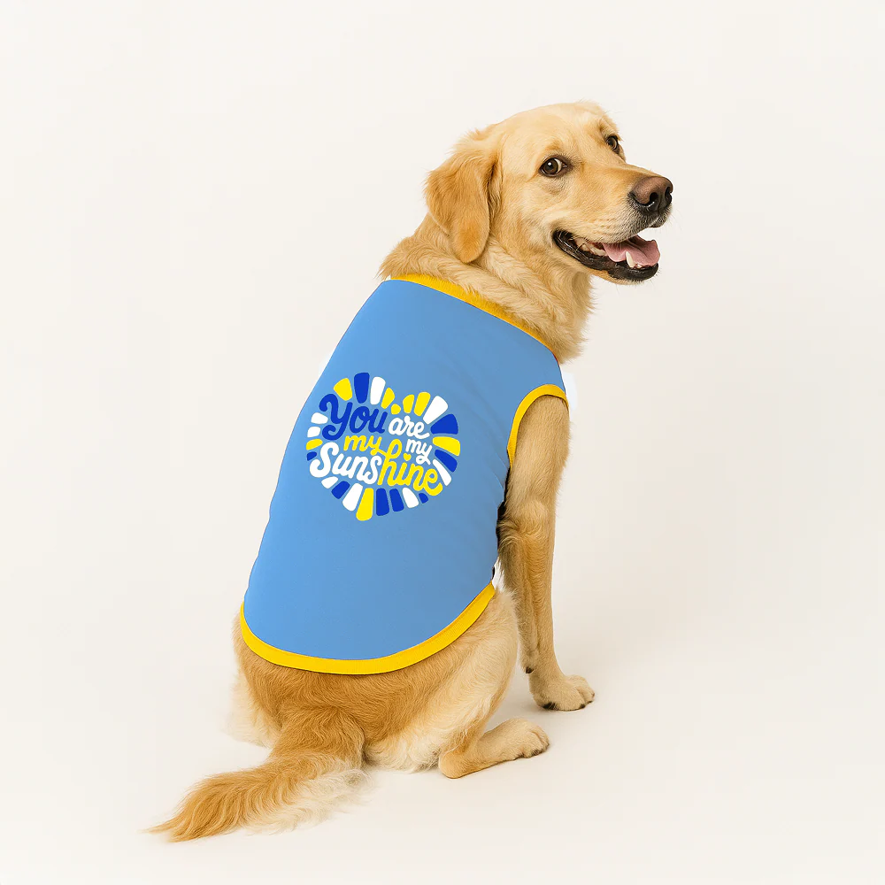 PawsIndia You Are My Sunshine Printed with Ribbed Sleeves TShirt for Dogs (Blue)