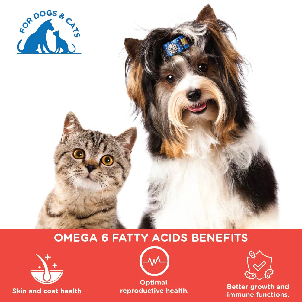Pawsome Companion Furever Salmon Oil for Dogs & Cats 500ml - Image 3