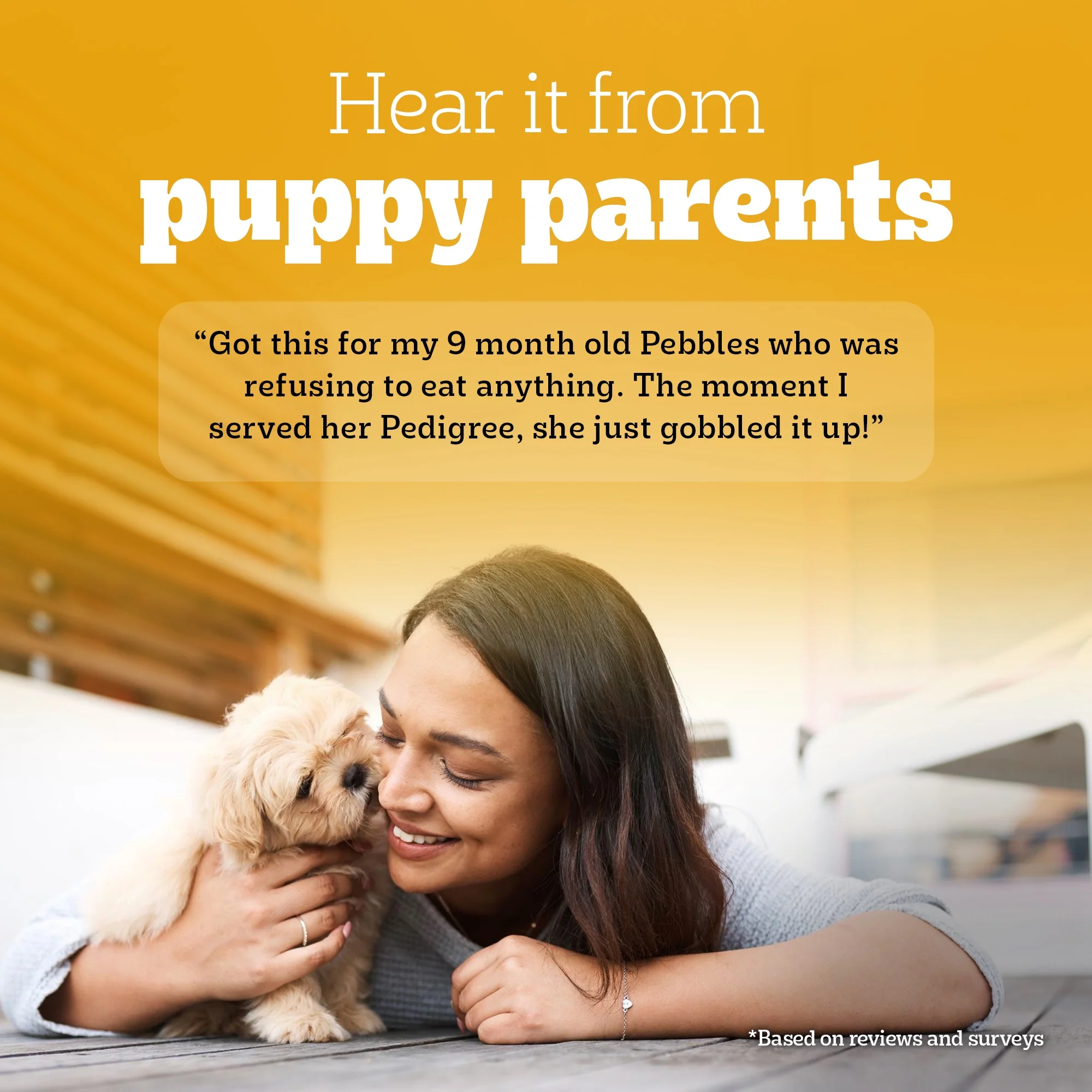 Pedigree Puppy Dog Food Combo |Chicken & Milk Dry & Chicken & Liver Wet - Image 32