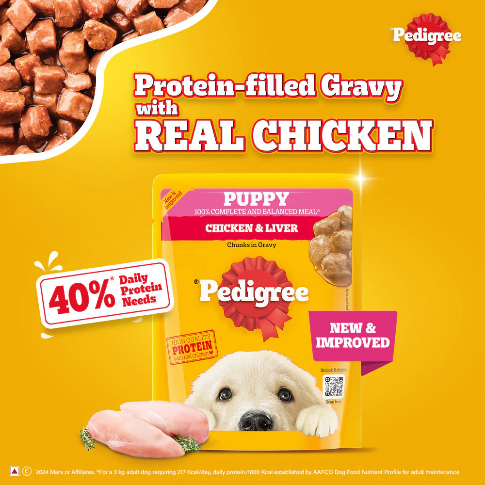 Pedigree Puppy Dog Food Combo |Chicken & Milk Dry & Chicken & Liver Wet - Image 36