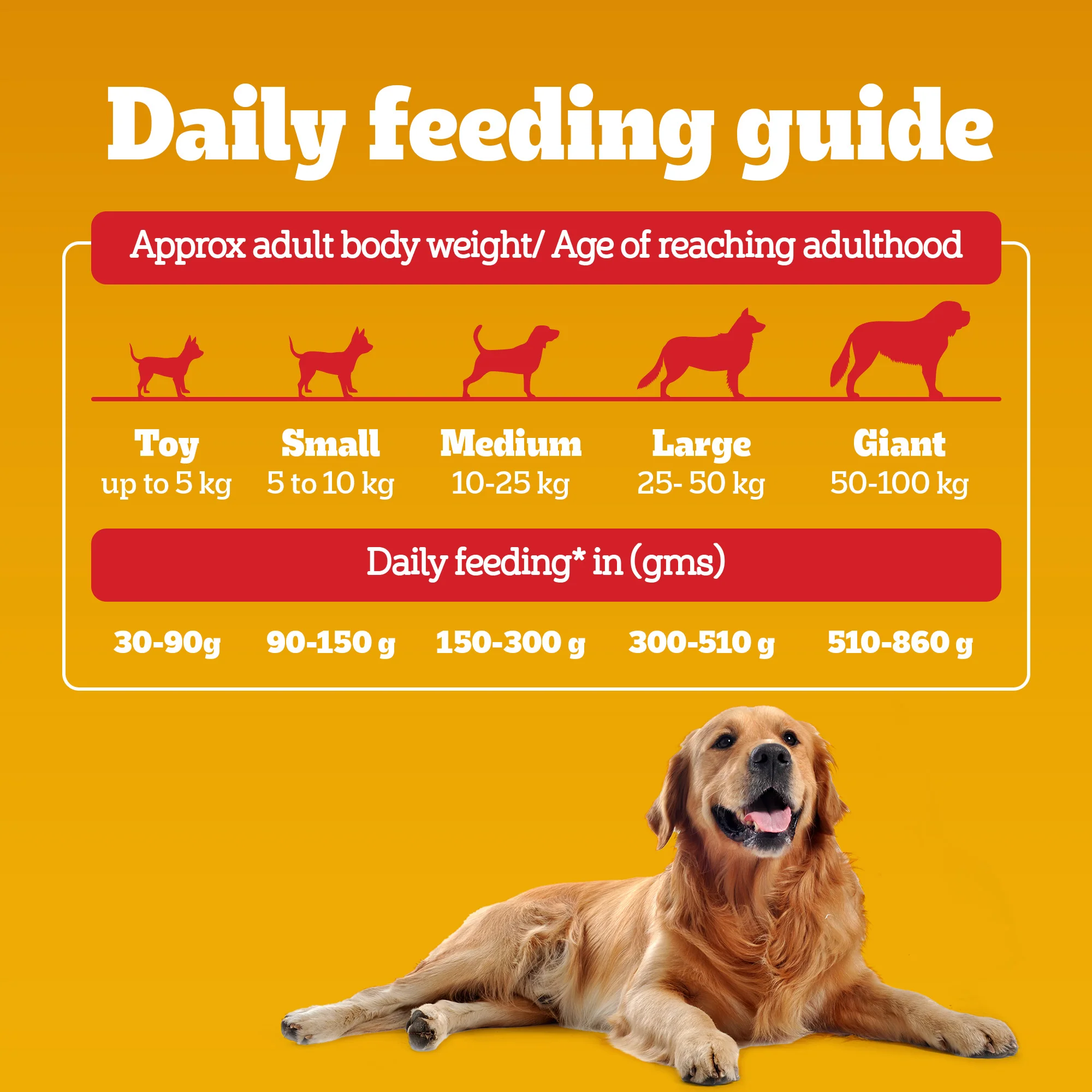 Pedigree Meat & Rice Adult Dog Dry Food - Image 14