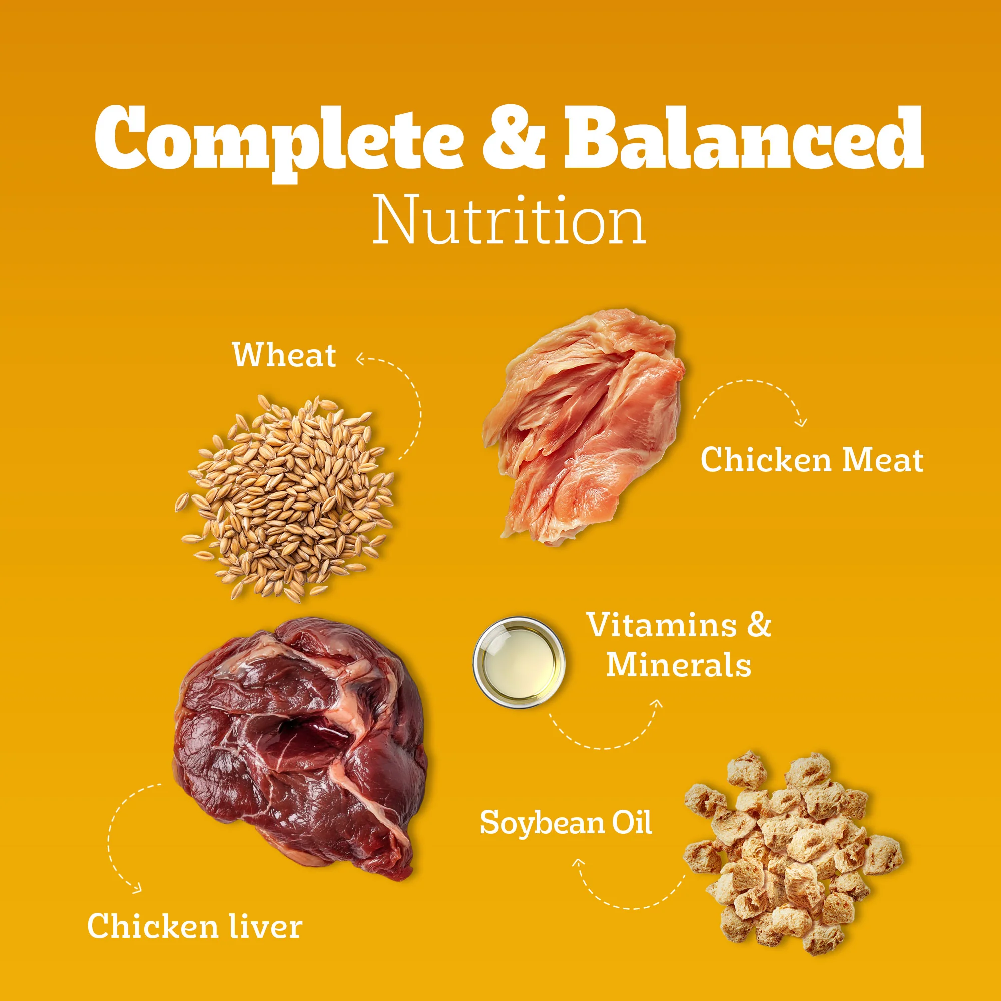 Pedigree Adult Dog Food Combo |Meat & Rice Dry & Chicken & Liver Wet - Image 33