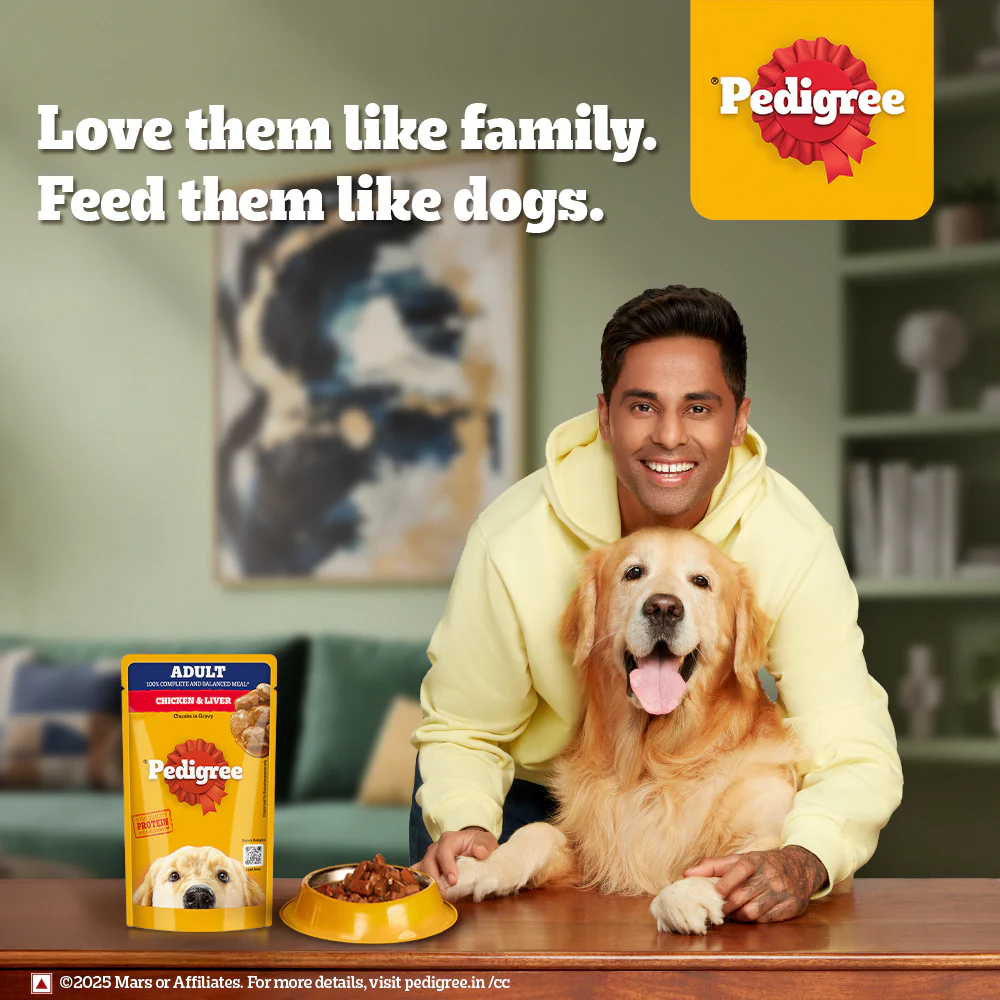 Pedigree Chicken and Liver Chunks in Gravy Adult Dog Wet Food (130g) - Image 2