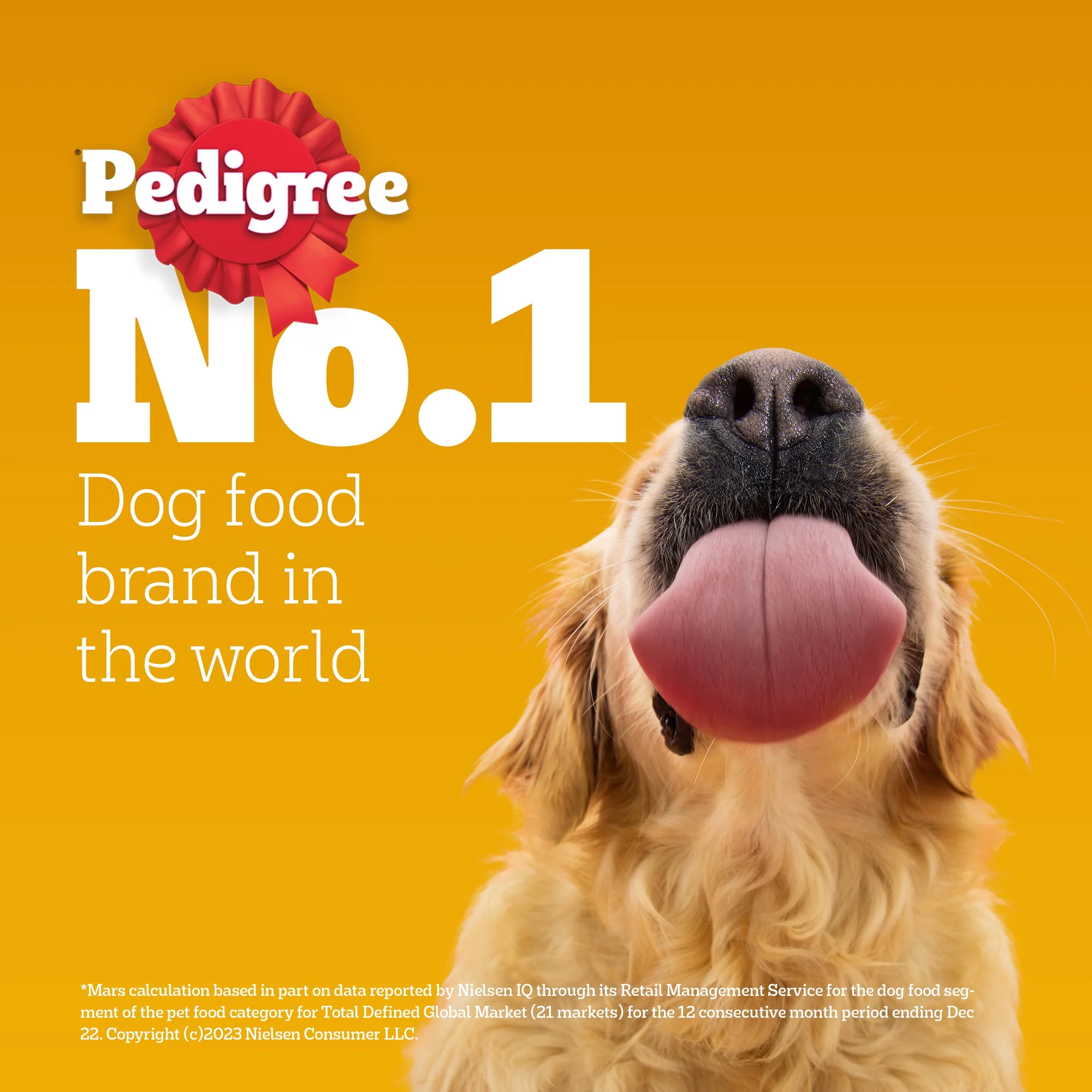 Pedigree Chicken and Liver Chunks in Gravy Adult Dog Wet Food (70g) - Image 11