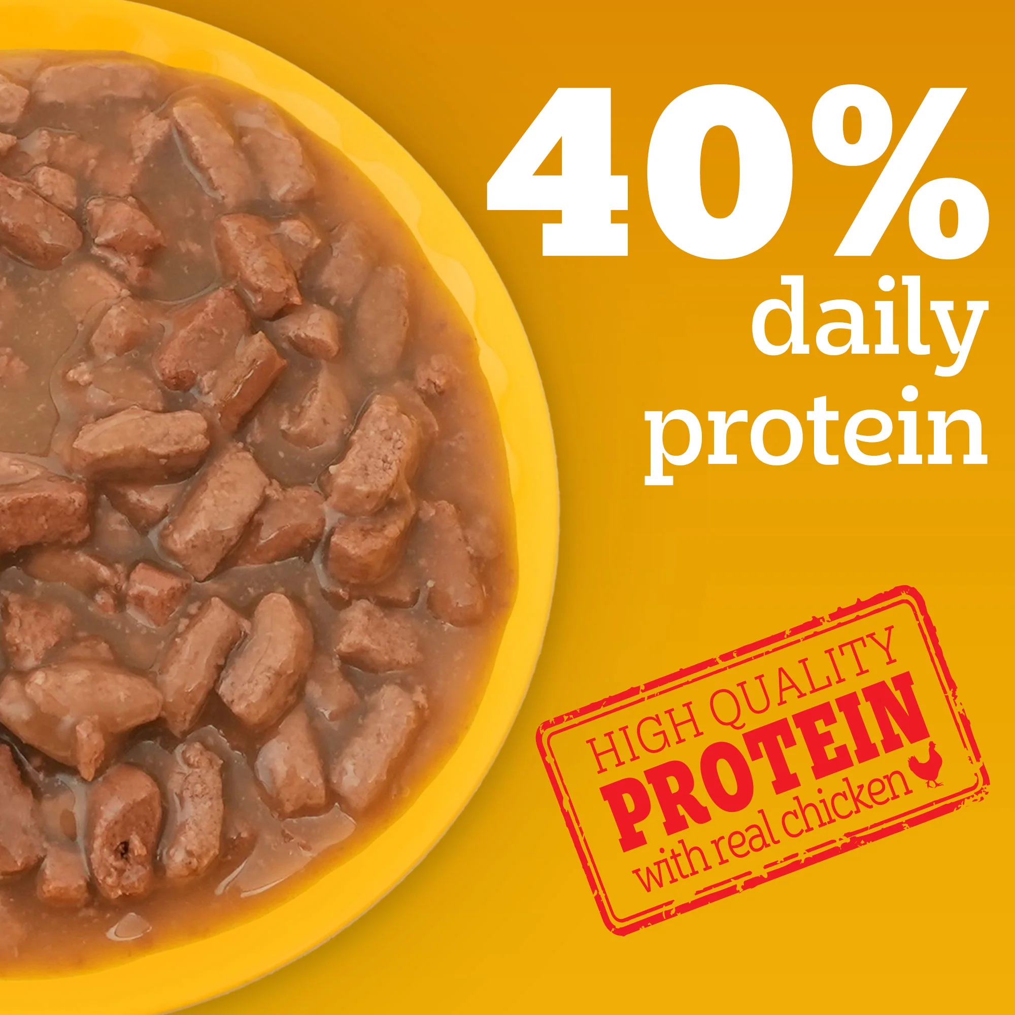 Pedigree Chicken and Liver Chunks in Gravy Adult Dog Wet Food (70g) - Image 2