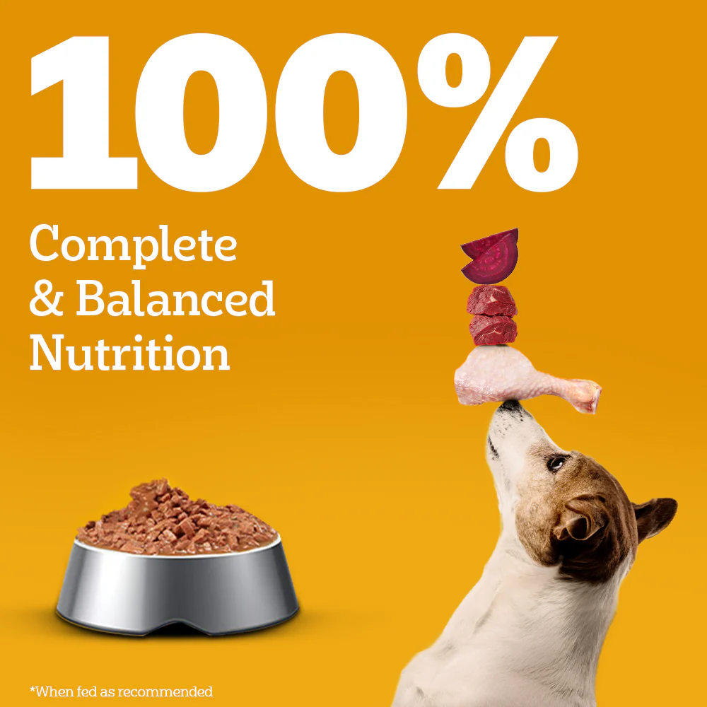 Pedigree Chicken and Liver Chunks in Gravy Adult Dog Wet Food (70g) - Image 8