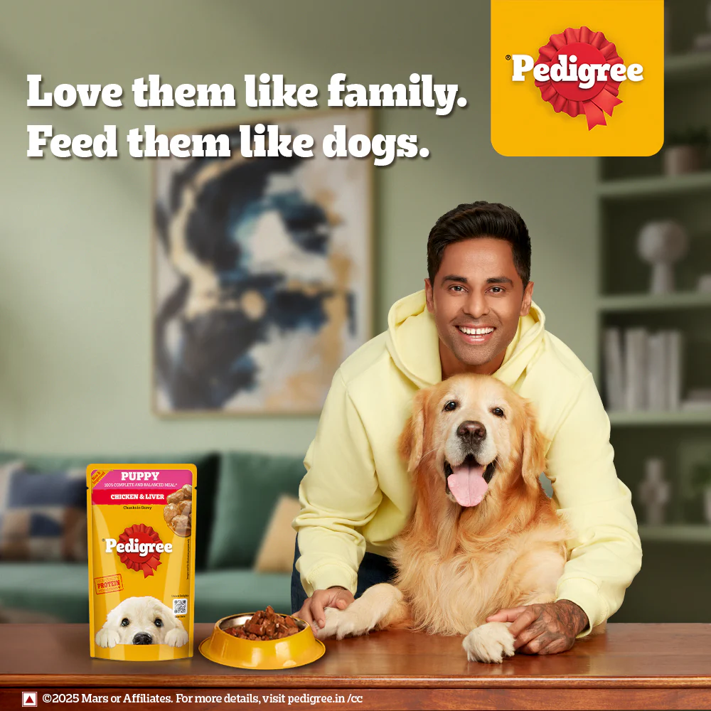 Pedigree Chicken and Liver Chunks in Gravy Pouch Puppy Dog Wet Food (130g) - Image 11