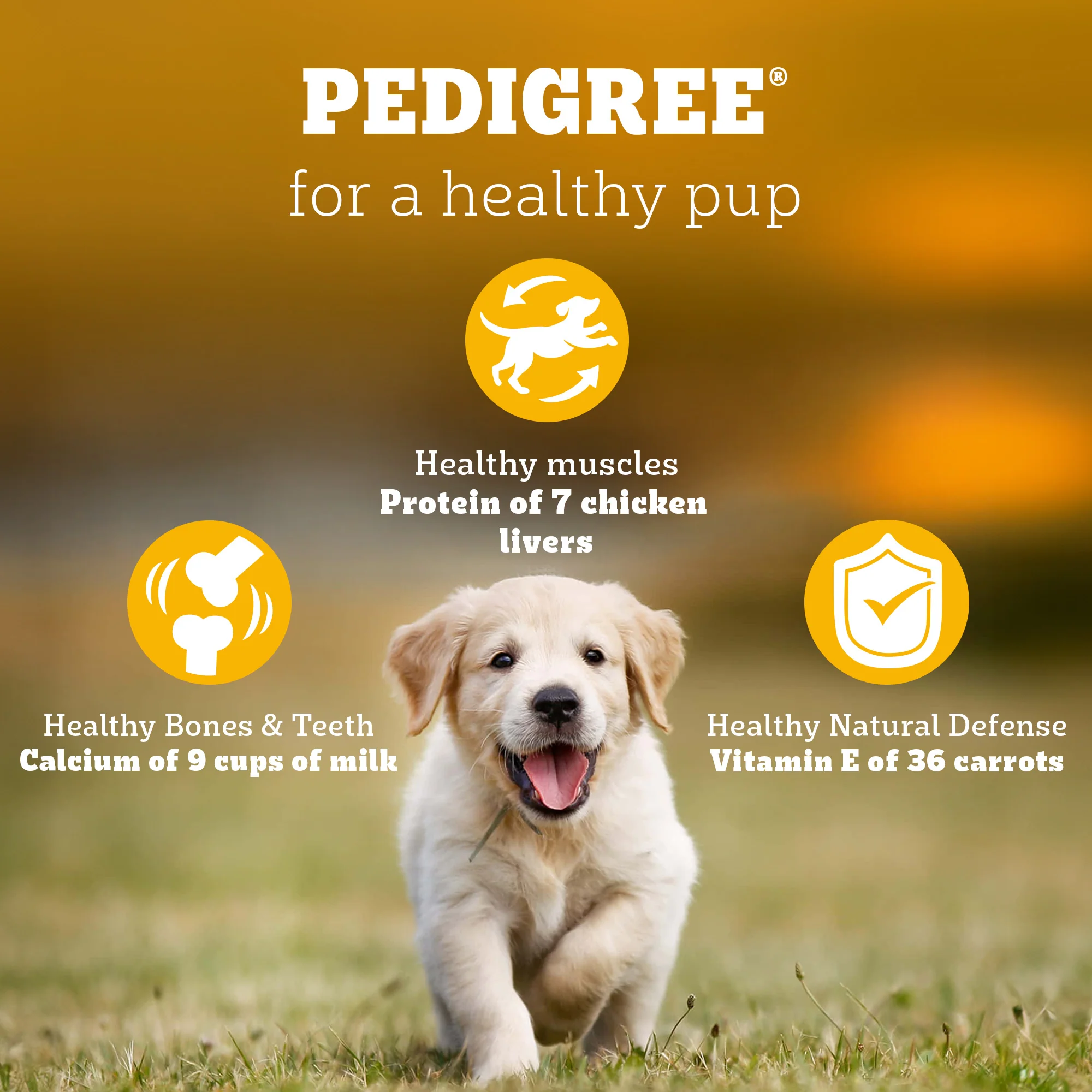 Pedigree Chicken and Milk Puppy Dog Dry Food - Image 13