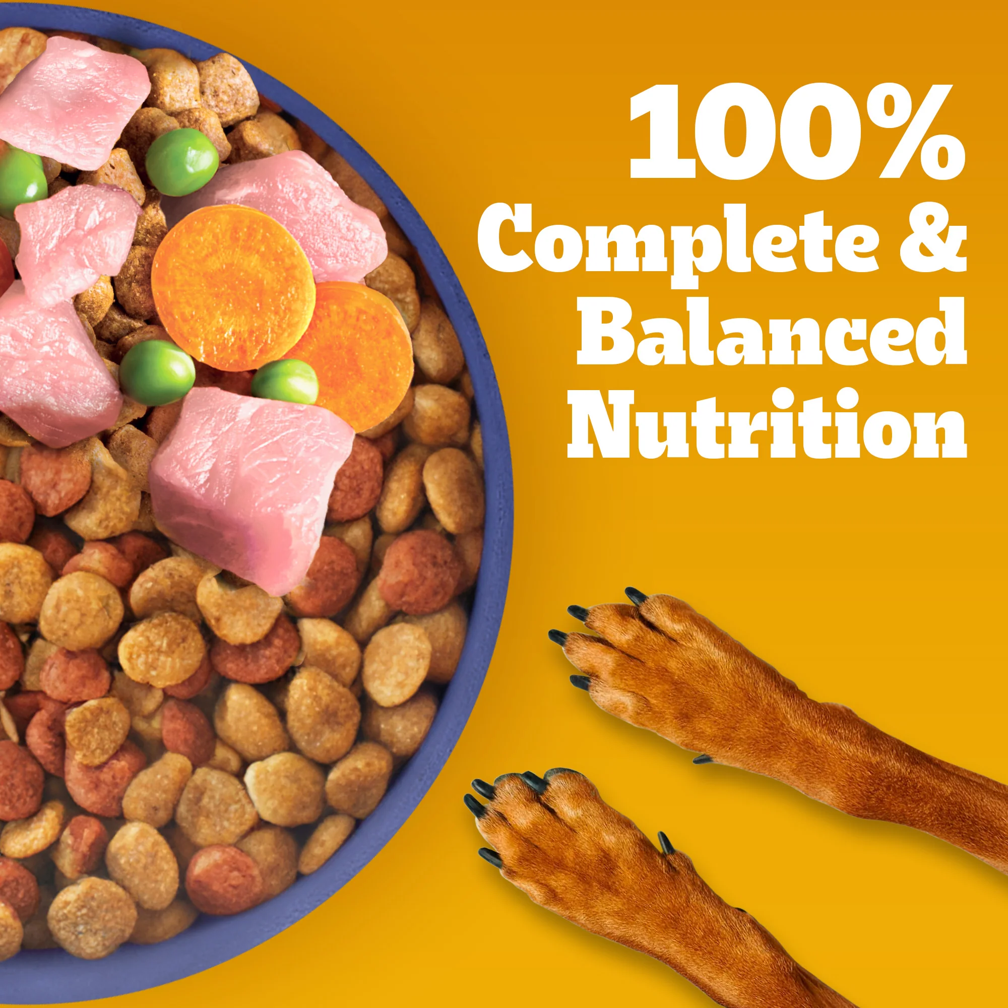 Pedigree Chicken and Milk Puppy Dog Dry Food - Image 15