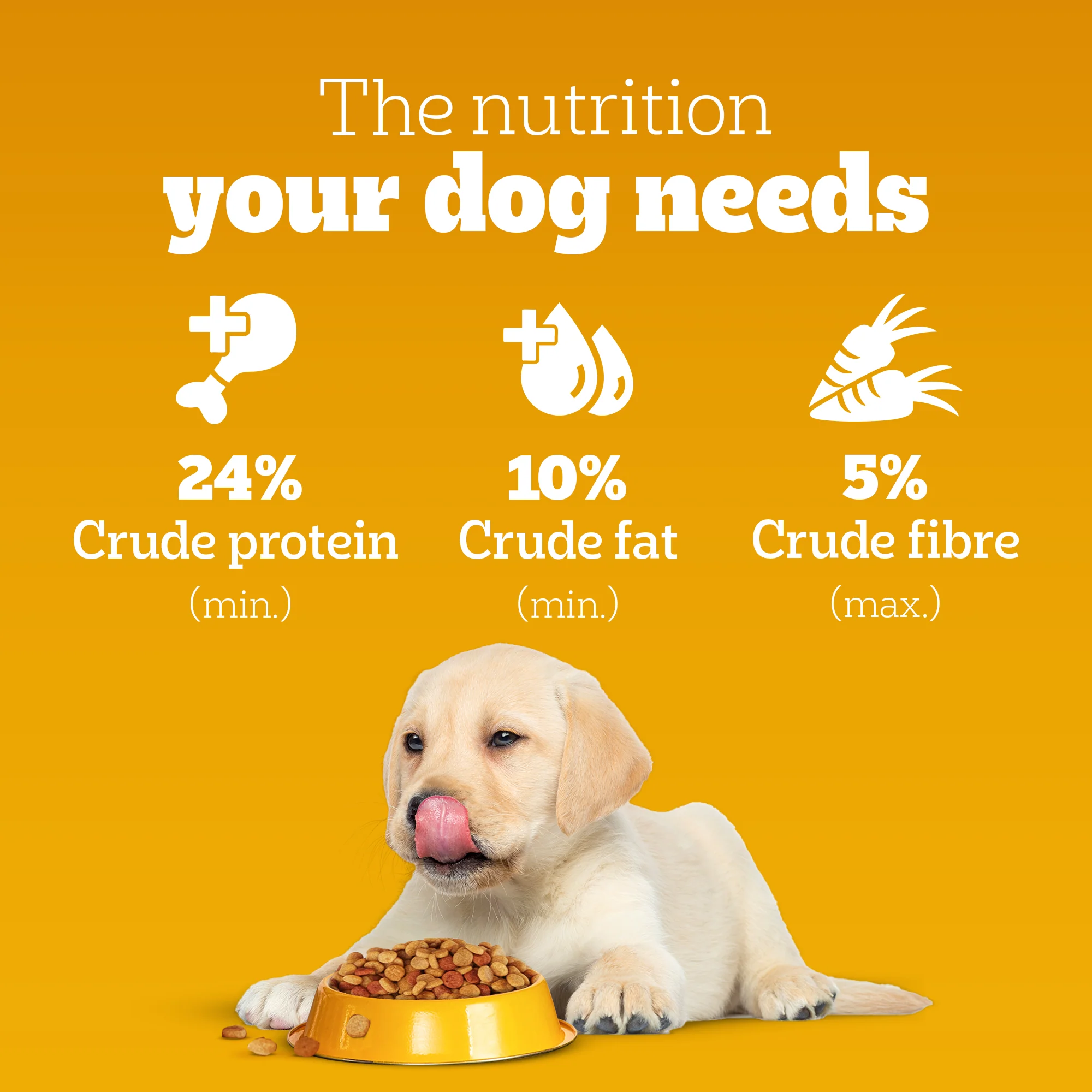 Pedigree Chicken and Milk Puppy Dog Dry Food - Image 5