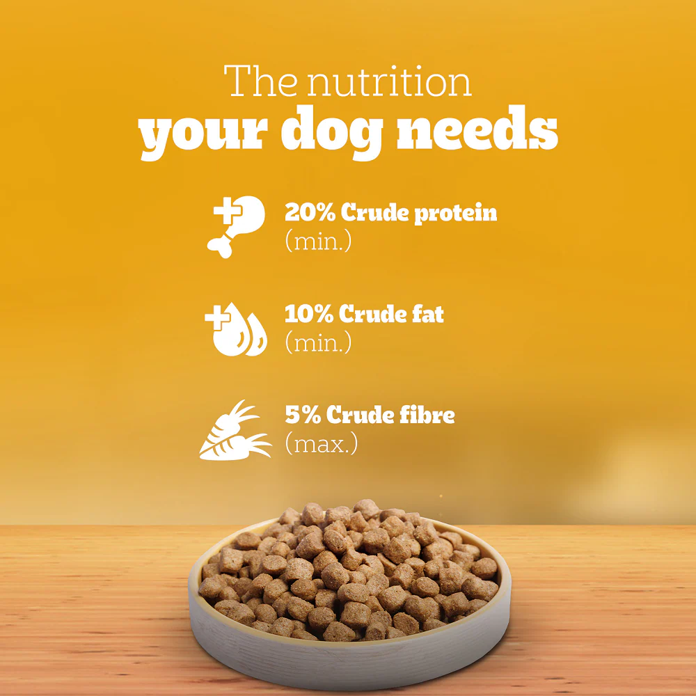 Pedigree Chicken and Vegetables Adult Dog Dry Food - Image 10