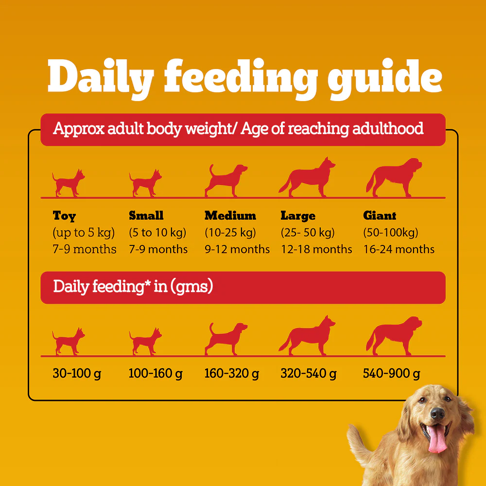 Pedigree Chicken and Vegetables Adult Dog Dry Food - Image 13