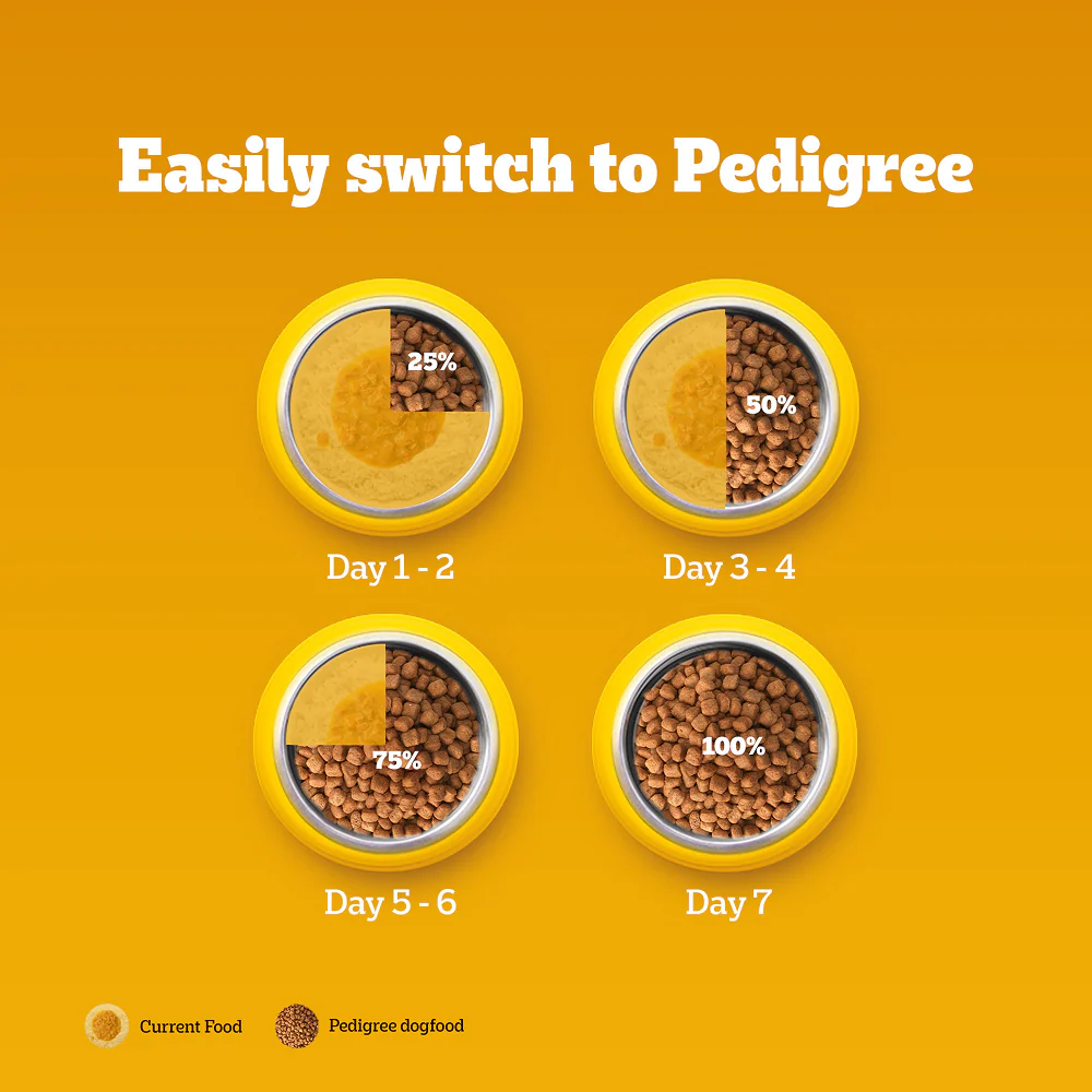 Pedigree Chicken and Vegetables Adult Dog Dry Food - Image 14