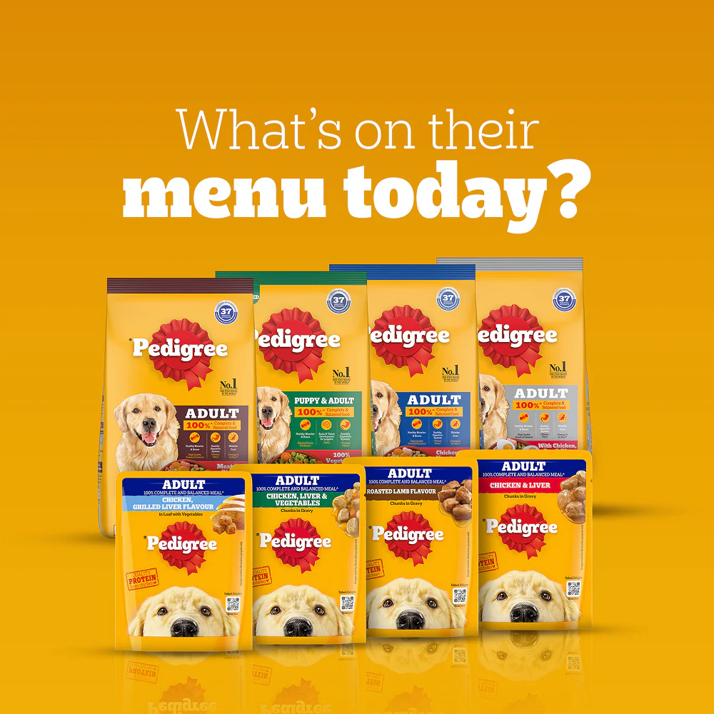 Pedigree Chicken and Vegetables Adult Dog Dry Food - Image 15