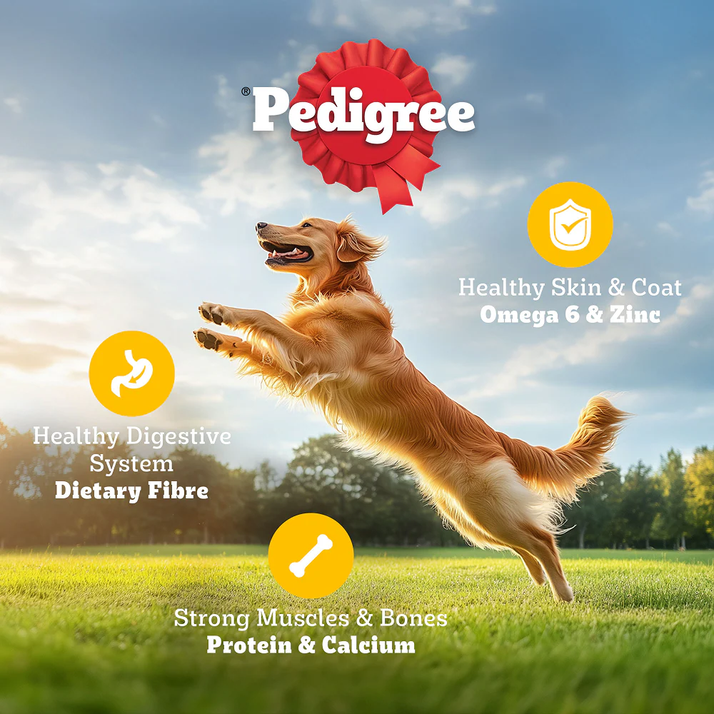 Pedigree Chicken and Vegetables Adult Dog Dry Food - Image 4