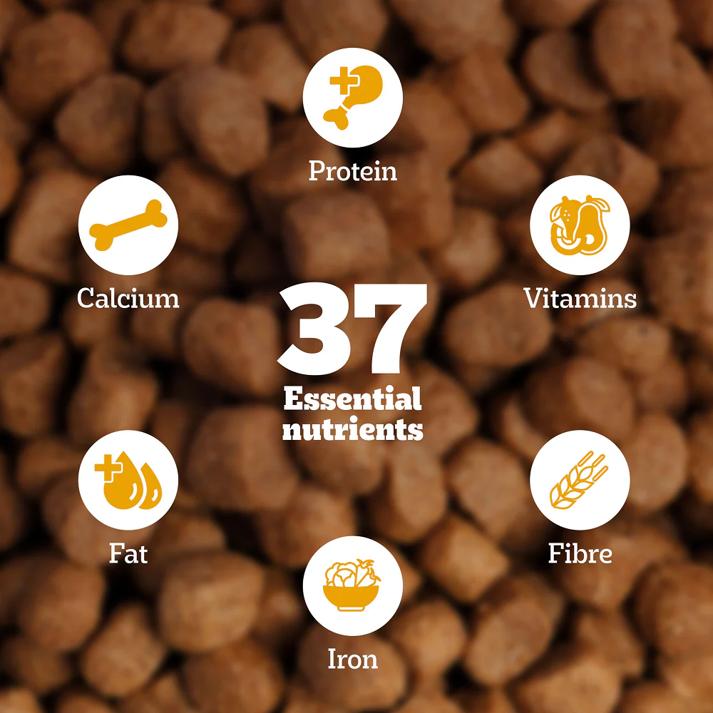 Pedigree Chicken and Vegetables Adult Dog Dry Food - Image 5