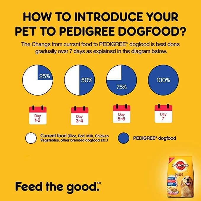Pedigree Chicken and Vegetables Dry and Chicken and Liver Chunks in Gravy Wet Adult Dog Food Combo - Image 5