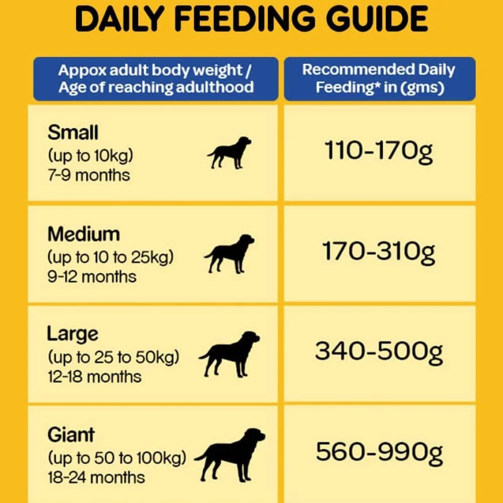 Pedigree Chicken and Vegetables Dry and Chicken and Liver Chunks in Gravy Wet Adult Dog Food Combo - Image 6