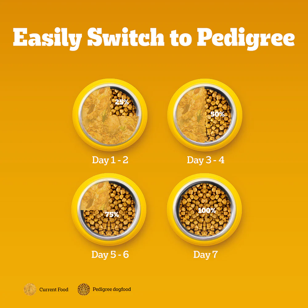 Pedigree Chicken Biryani Flavour Adult Dog Dry Food - Image 13