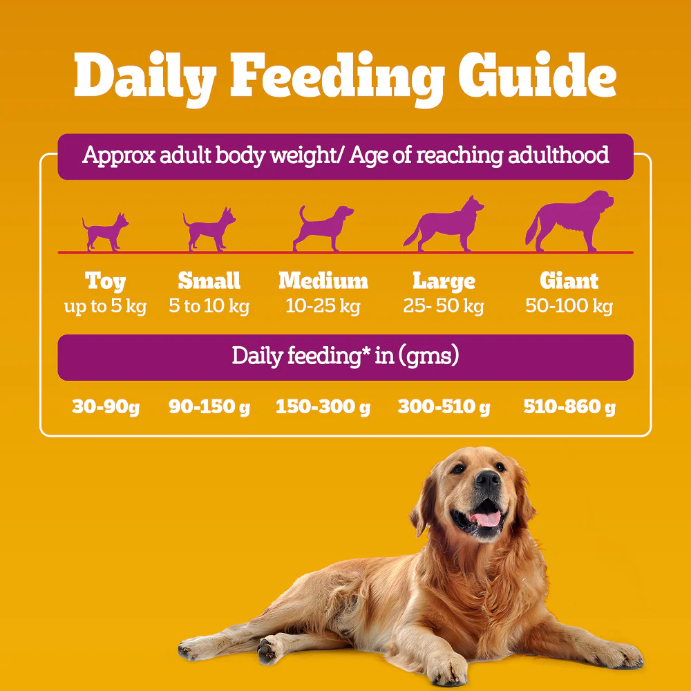 Pedigree Chicken Biryani Flavour Adult Dog Dry Food - Image 14