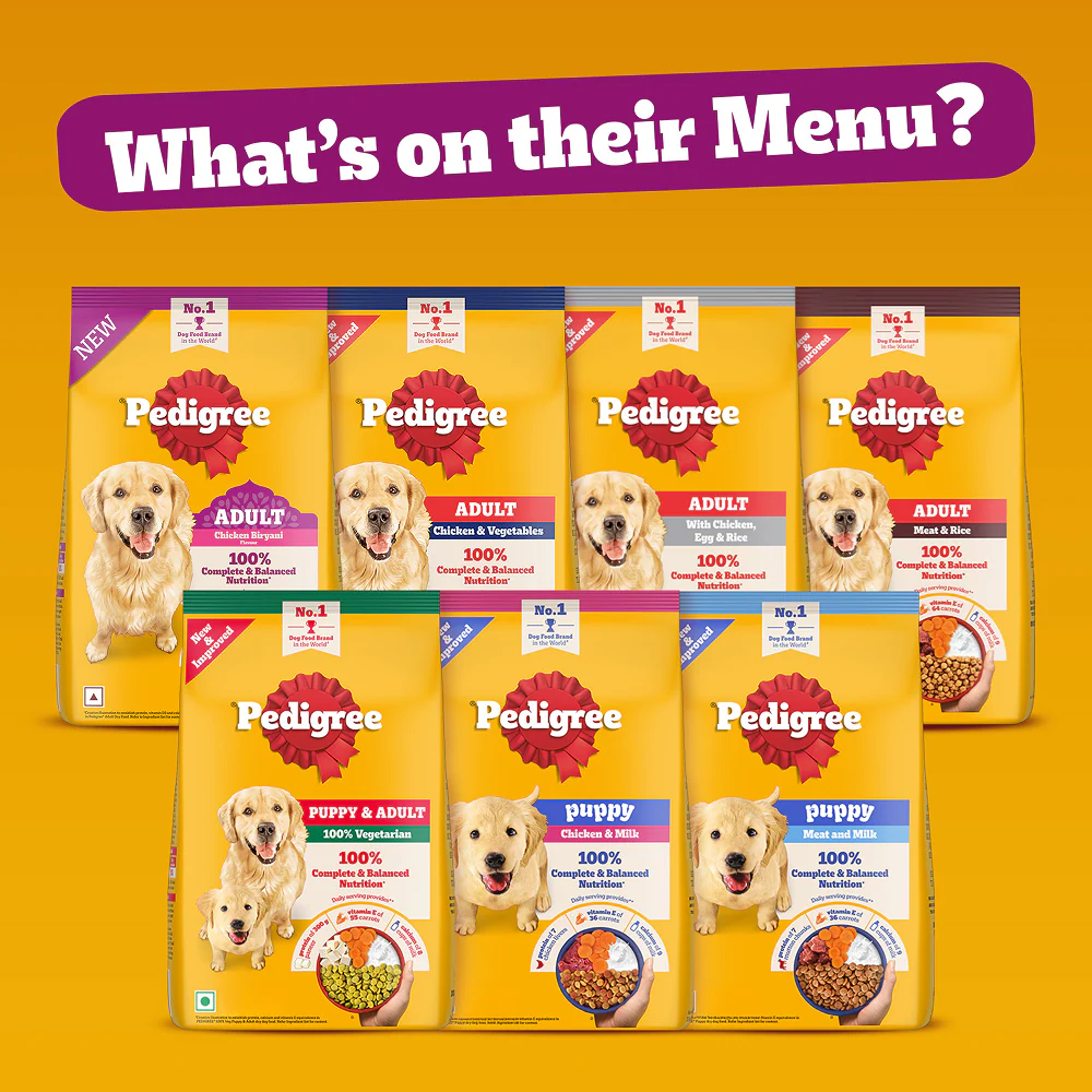 Pedigree Chicken Biryani Flavour Adult Dog Dry Food - Image 15