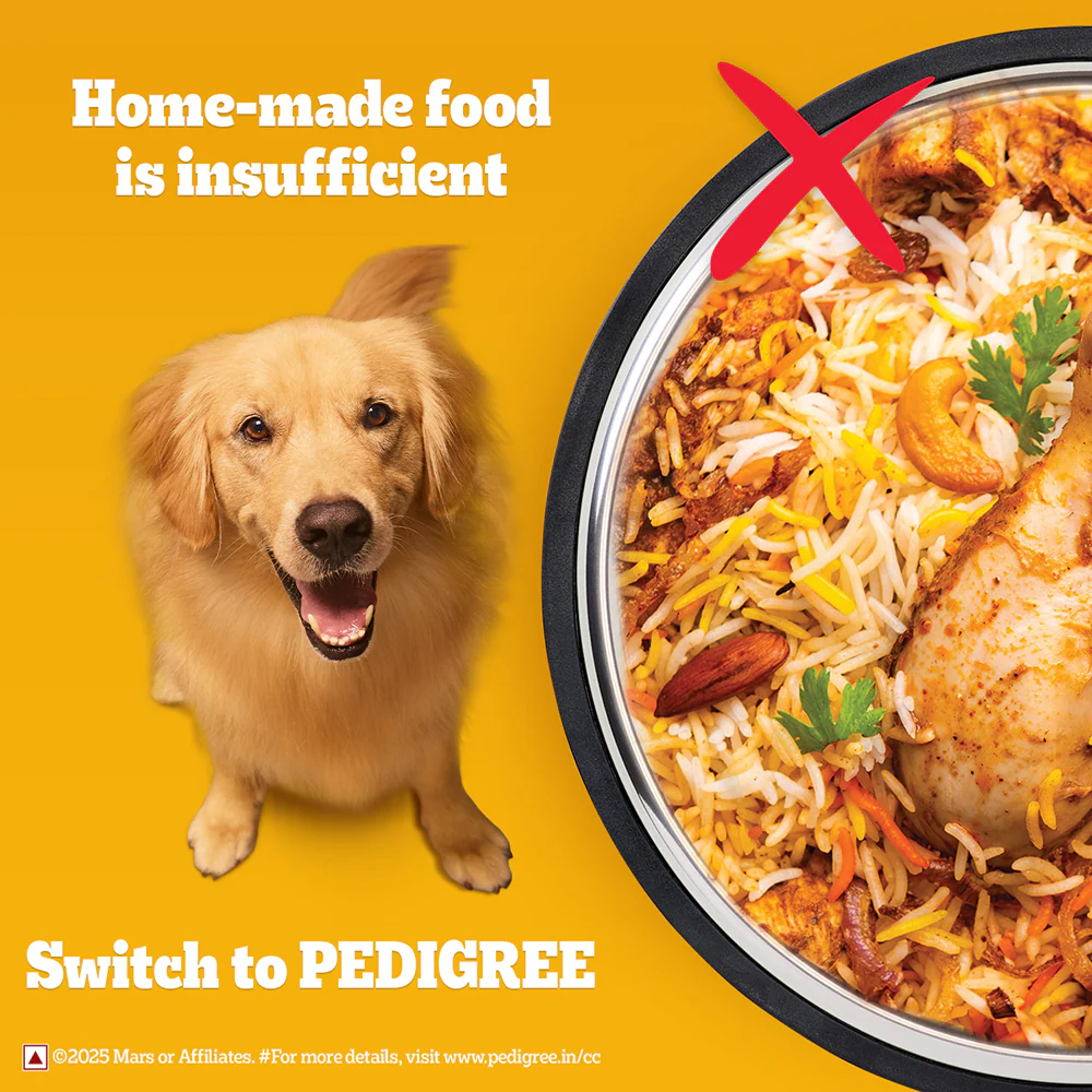 Pedigree Chicken Biryani Flavour Adult Dog Dry Food - Image 2