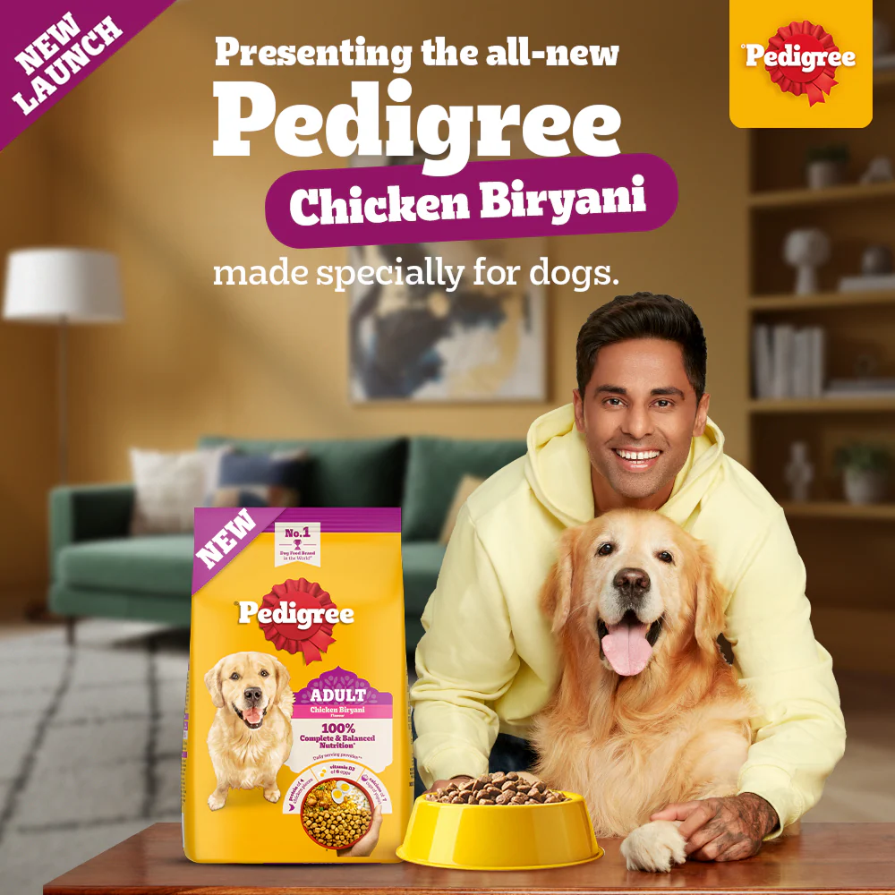 Pedigree Chicken Biryani Flavour Adult Dog Dry Food - Image 4