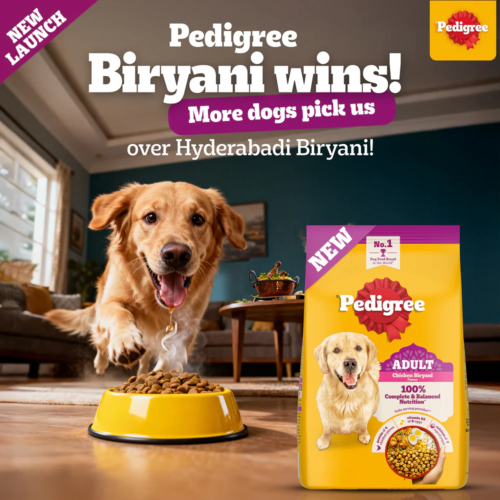 Pedigree Chicken Biryani Flavour Adult Dog Dry Food - Image 5