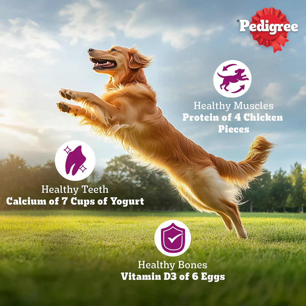 Pedigree Chicken Biryani Flavour Adult Dog Dry Food - Image 7