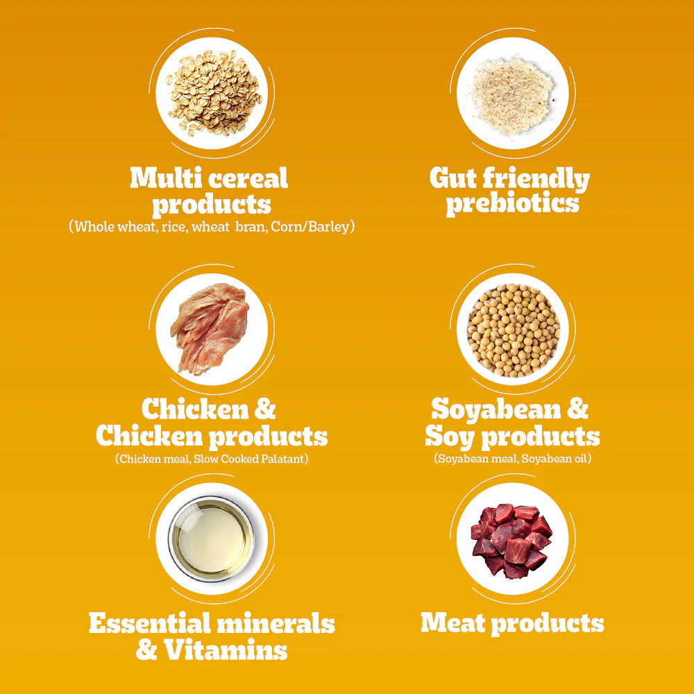 Pedigree Chicken Biryani Flavour Adult Dog Dry Food - Image 8