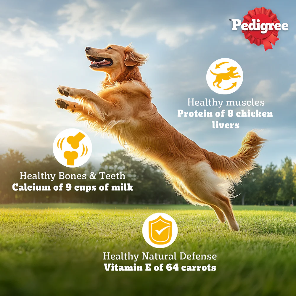 Pedigree Chicken, Egg and Rice Adult Dog Dry Food - Image 10