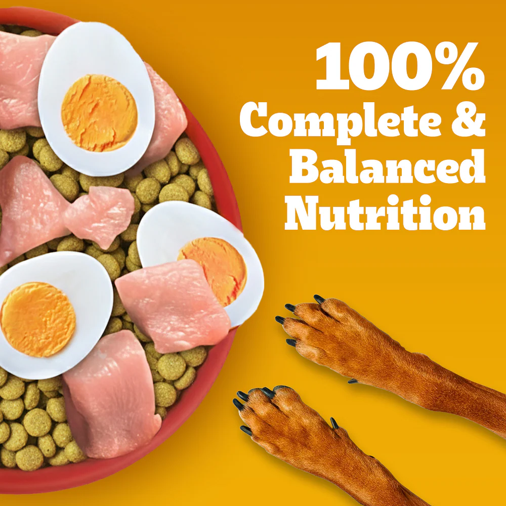 Pedigree Chicken, Egg and Rice Adult Dog Dry Food - Image 12