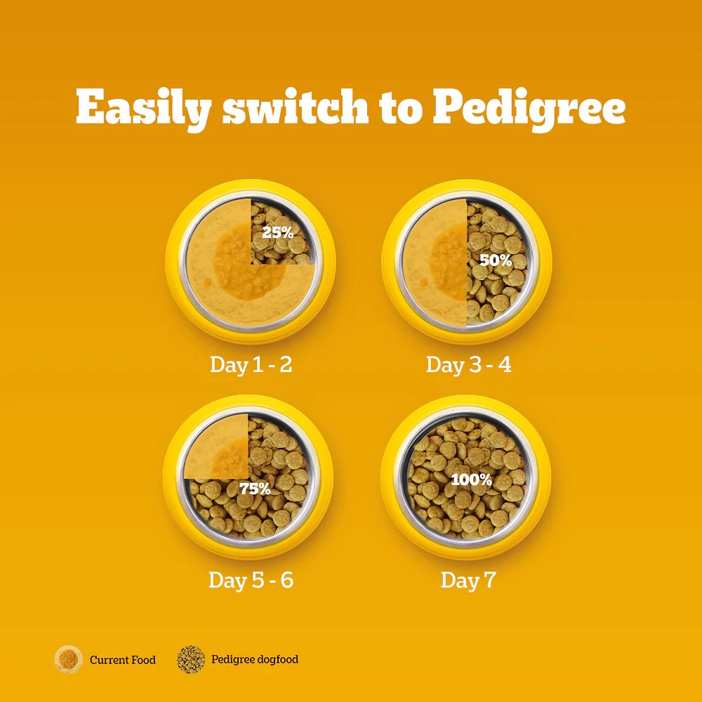 Pedigree Chicken, Egg and Rice Adult Dog Dry Food - Image 15