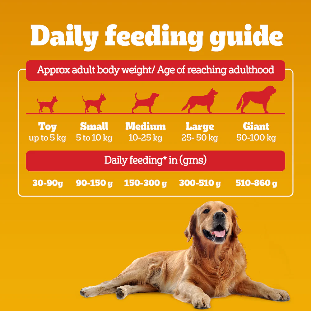 Pedigree Chicken, Egg and Rice Adult Dog Dry Food - Image 16