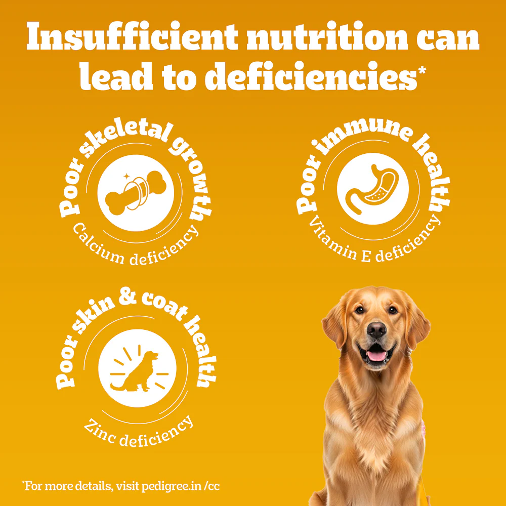 Pedigree Chicken, Egg and Rice Adult Dog Dry Food - Image 8