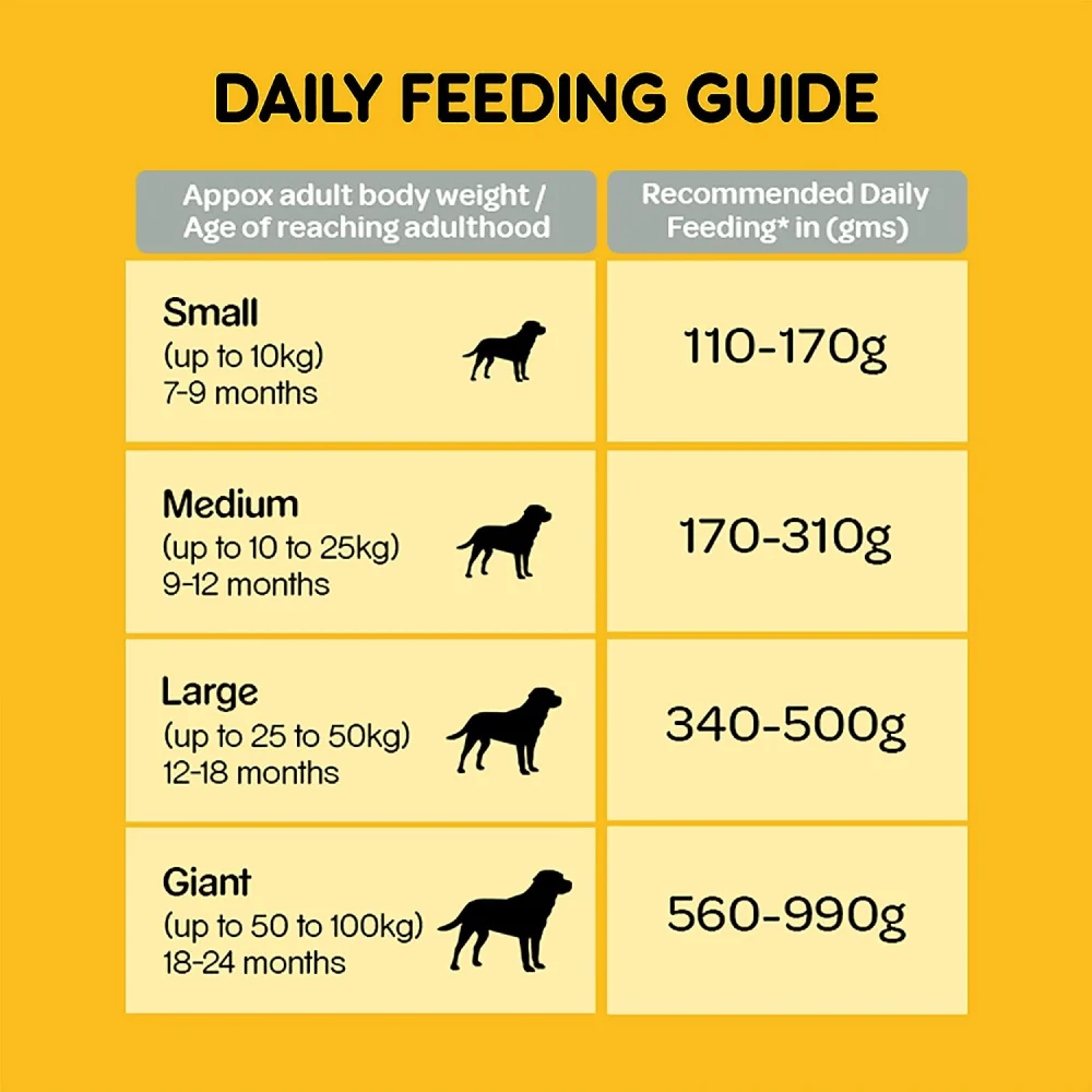 Pedigree Chicken, Egg and Rice Dry and Chicken and Liver Chunks in Gravy Wet Adult Dog Food Combo - Image 4