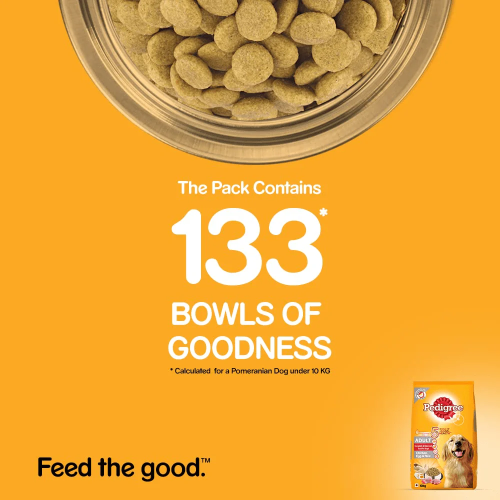Pedigree Chicken, Egg and Rice Dry and Chicken and Liver Chunks in Gravy Wet Adult Dog Food Combo - Image 6