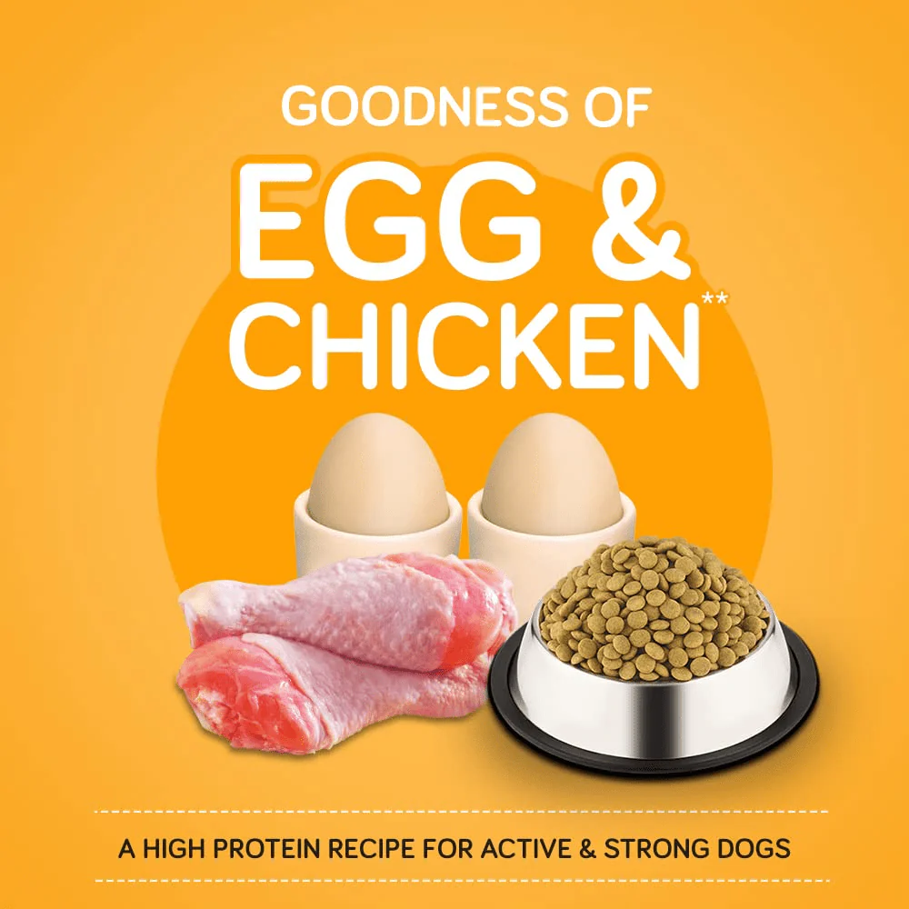Pedigree Chicken, Egg and Rice Dry and Chicken and Liver Chunks in Gravy Wet Adult Dog Food Combo - Image 7