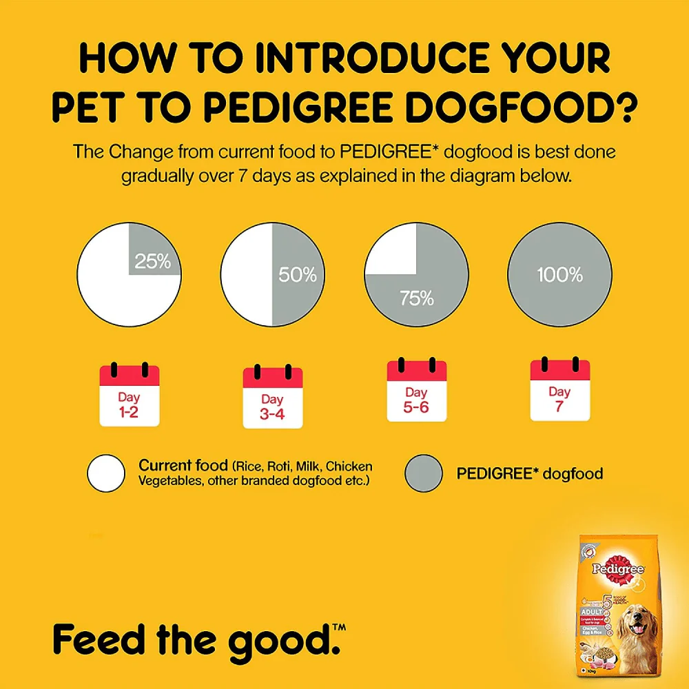 Pedigree Chicken, Egg and Rice Dry and Chicken and Liver Chunks in Gravy Wet Adult Dog Food Combo - Image 8