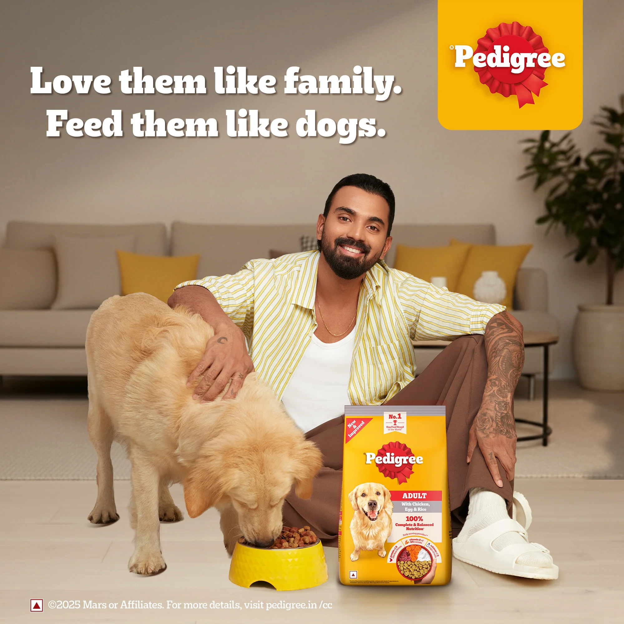 Pedigree Chicken, Egg and Rice Adult Dog Dry Food - Image 10