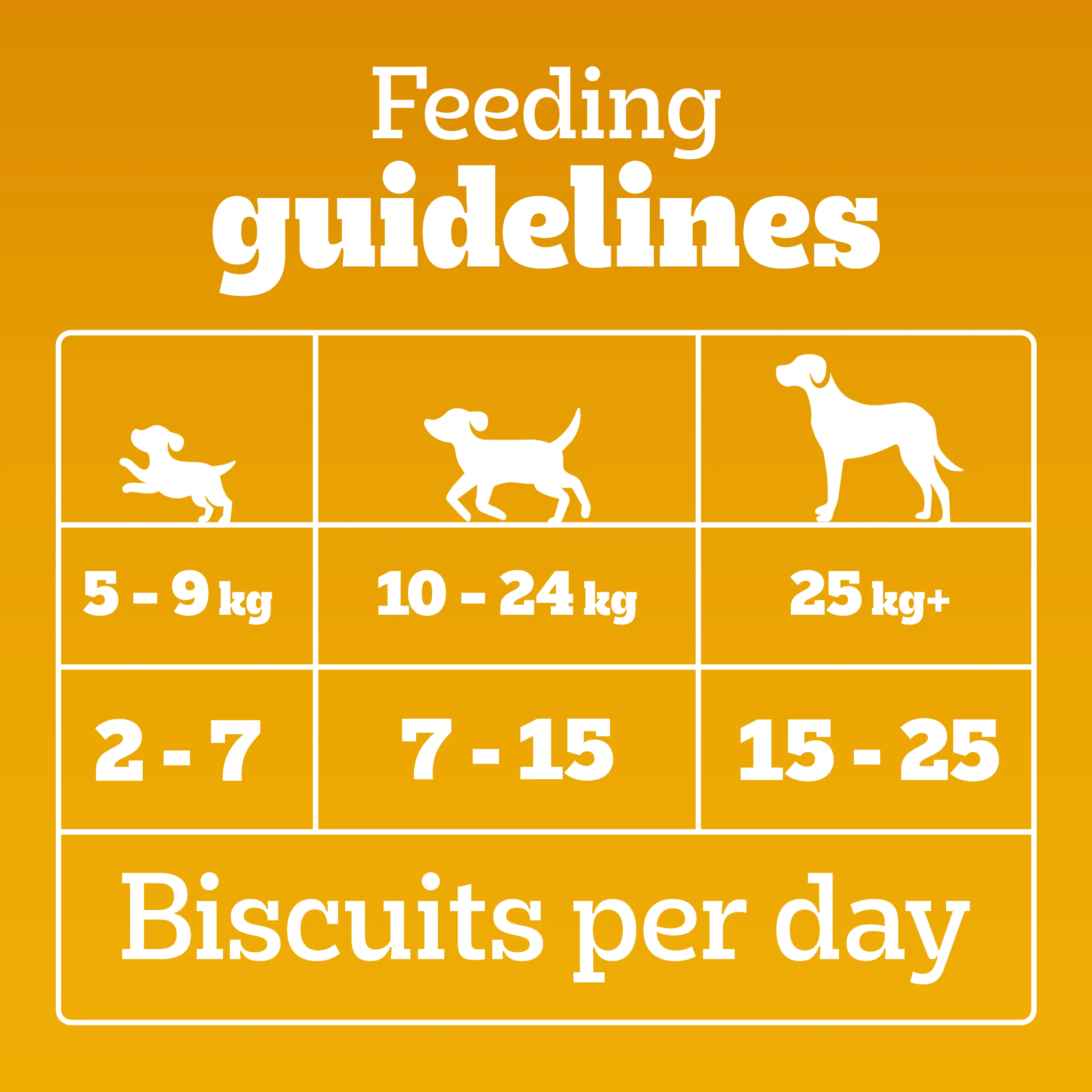 Pedigree Chicken Flavour (4+ Months) Biscrok Biscuits Jar Treats for Dogs - Image 10