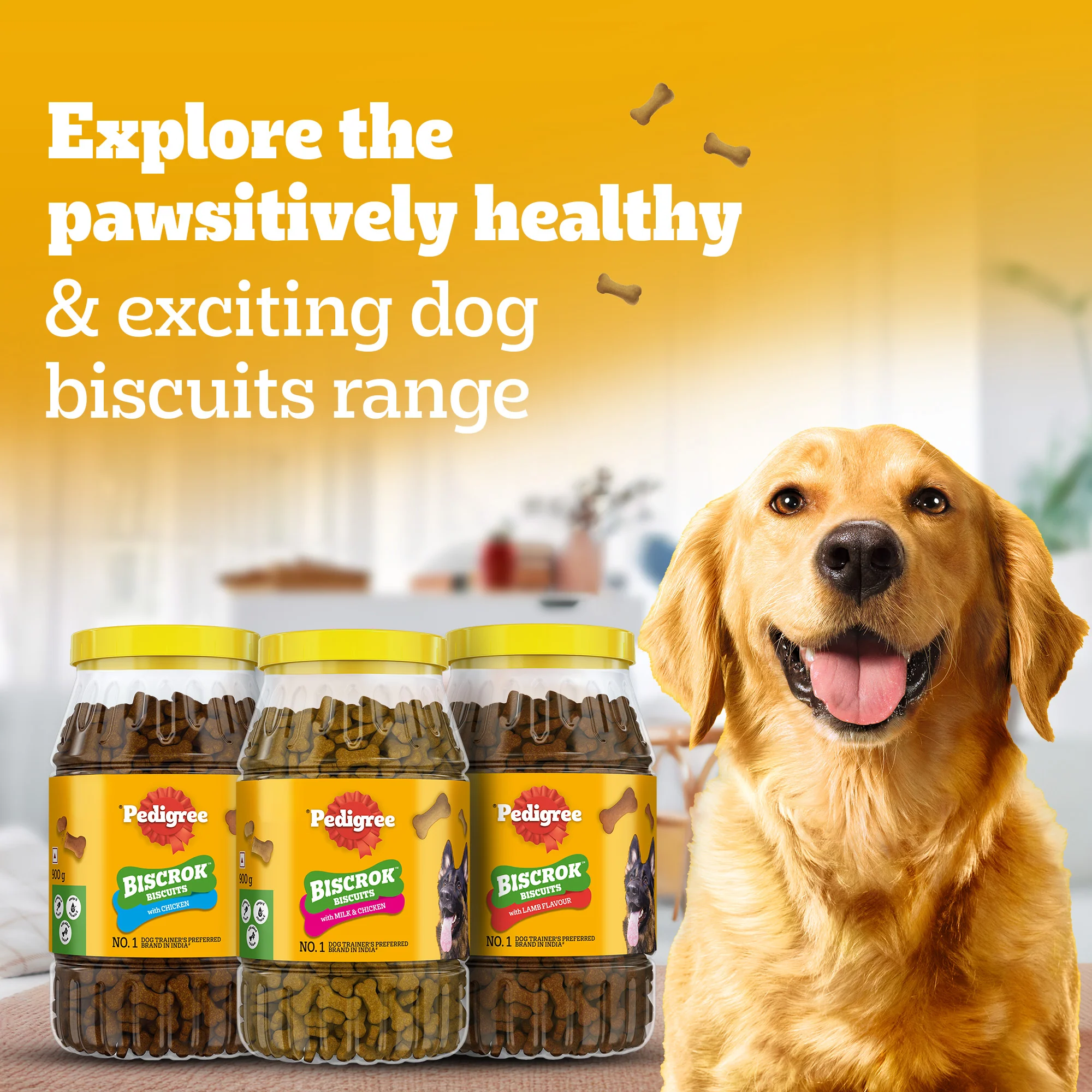 Pedigree Chicken Flavour (4+ Months) Biscrok Biscuits Jar Treats for Dogs - Image 11