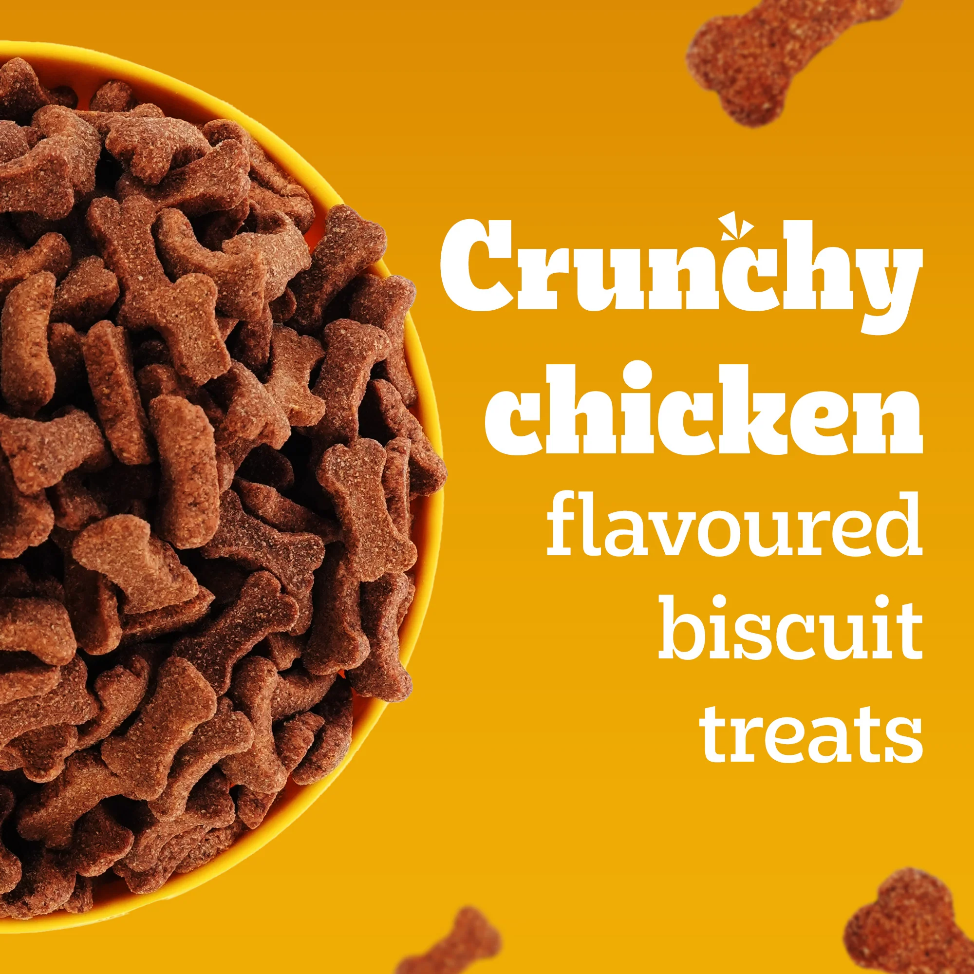 Pedigree Chicken Flavour (4+ Months) Biscrok Biscuits Jar Treats for Dogs - Image 3