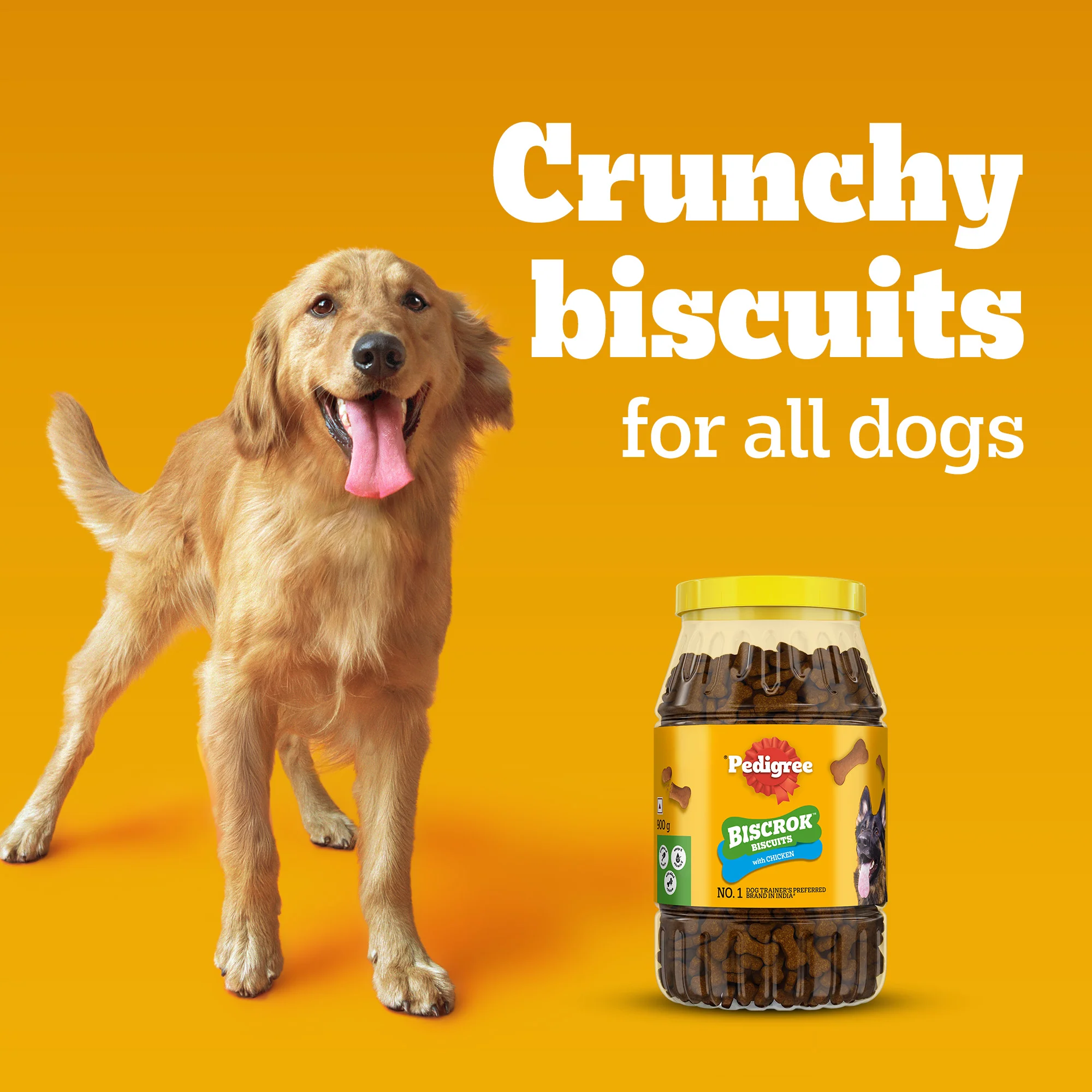Pedigree Chicken Flavour (4+ Months) Biscrok Biscuits Jar Treats for Dogs - Image 7